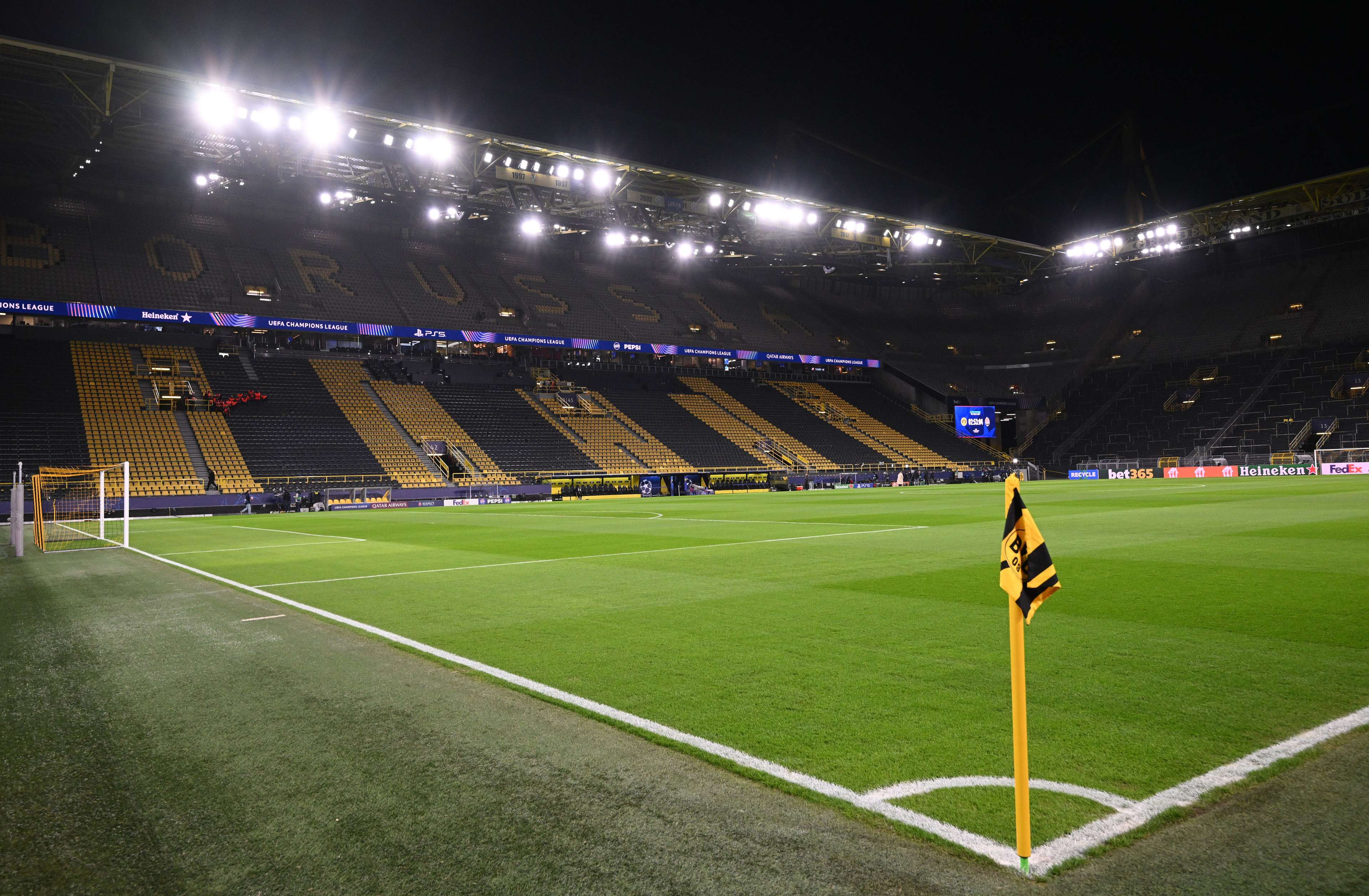 会在强烈的 会在强烈的